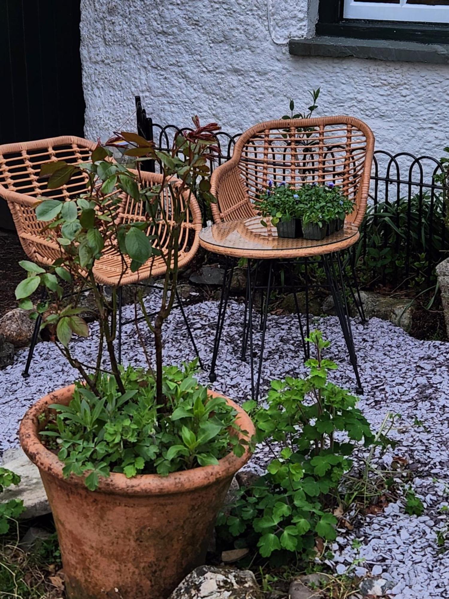 Blea Tarn Farmhouse B&B Ambleside Eksteriør bilde