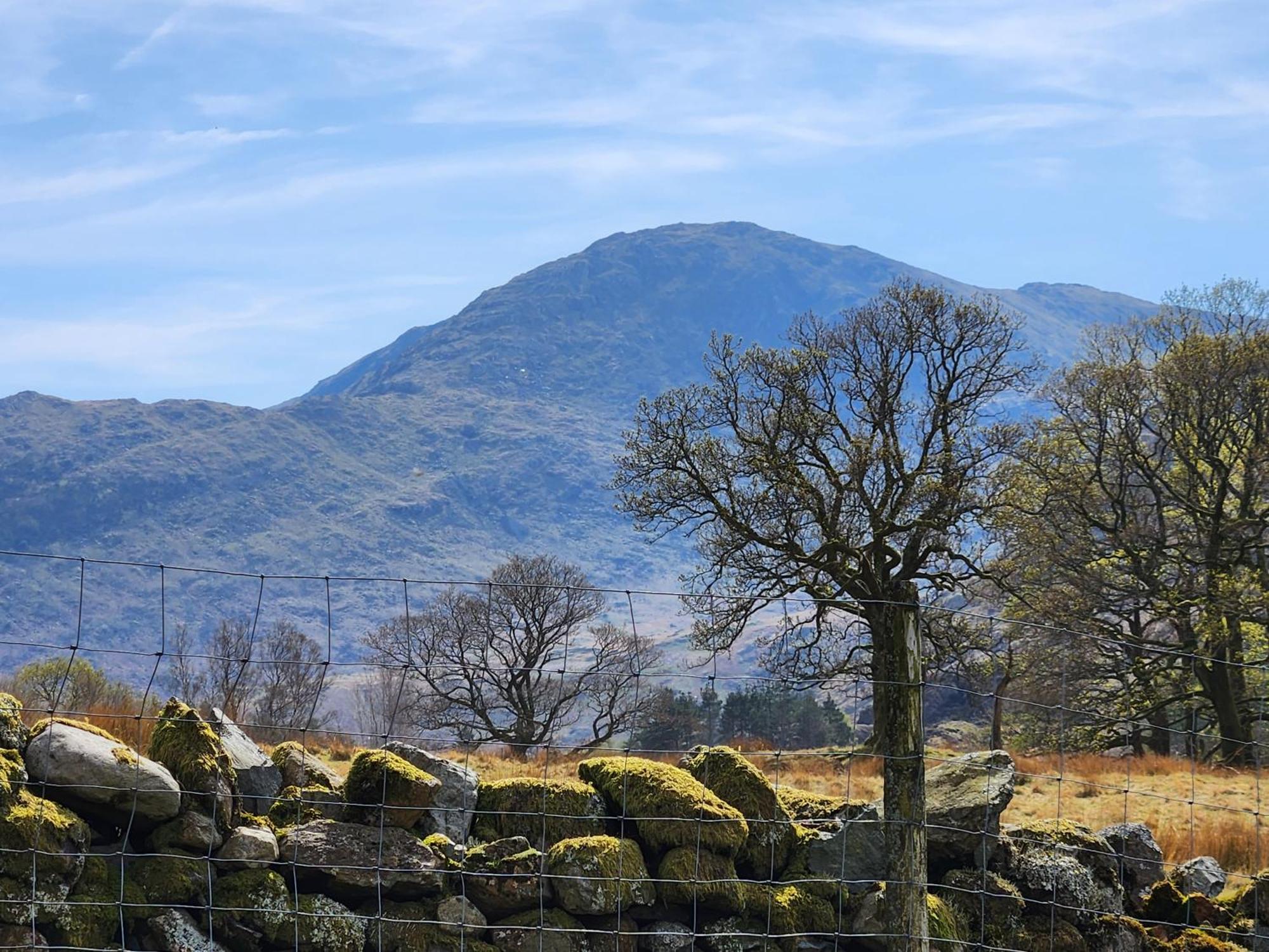 Blea Tarn Farmhouse B&B Ambleside Eksteriør bilde